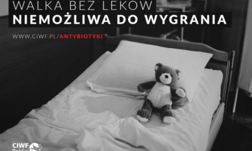 Światowy tydzień wiedzy o antybiotykach (13-19 listopada).